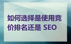如何选择是使用竞价排名还是 SEO