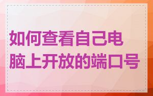如何查看自己电脑上开放的端口号