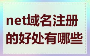 net域名注册的好处有哪些