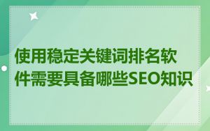 使用稳定关键词排名软件需要具备哪些SEO知识