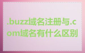 .buzz域名注册与.com域名有什么区别