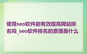 使用seo软件能有效提高网站排名吗_seo软件排名的原理是什么