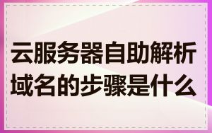 云服务器自助解析域名的步骤是什么