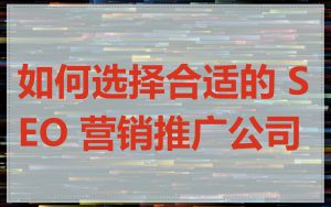 如何选择合适的 SEO 营销推广公司
