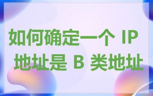 如何确定一个 IP 地址是 B 类地址