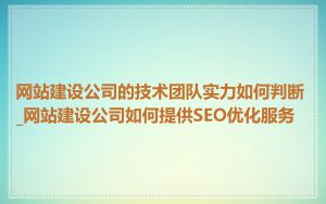 网站建设公司的技术团队实力如何判断_网站建设公司如何提供SEO优化服务