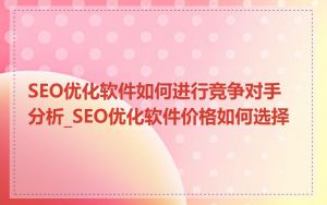 SEO优化软件如何进行竞争对手分析_SEO优化软件价格如何选择