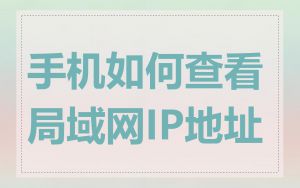 手机如何查看局域网IP地址