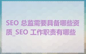 SEO 总监需要具备哪些资质_SEO 工作职责有哪些