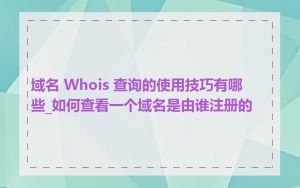 域名 Whois 查询的使用技巧有哪些_如何查看一个域名是由谁注册的