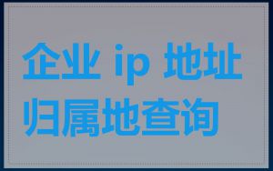 企业 ip 地址归属地查询