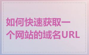 如何快速获取一个网站的域名URL