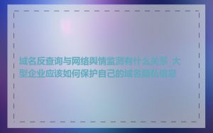 域名反查询与网络舆情监测有什么关系_大型企业应该如何保护自己的域名隐私信息
