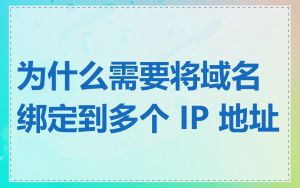 为什么需要将域名绑定到多个 IP 地址