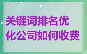 关键词排名优化公司如何收费