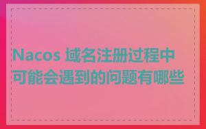 Nacos 域名注册过程中可能会遇到的问题有哪些