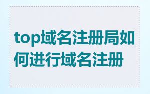 top域名注册局如何进行域名注册