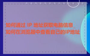 如何通过 IP 地址获取电脑信息_如何在浏览器中查看自己的IP地址