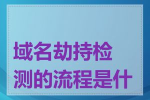 域名劫持检测的流程是什么