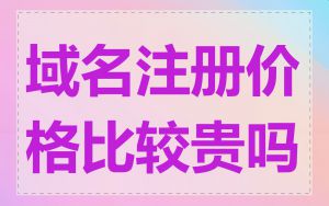 域名注册价格比较贵吗