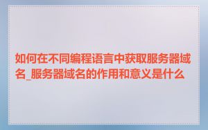 如何在不同编程语言中获取服务器域名_服务器域名的作用和意义是什么