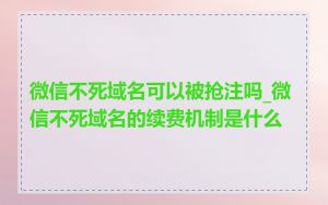 微信不死域名可以被抢注吗_微信不死域名的续费机制是什么