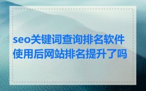 seo关键词查询排名软件使用后网站排名提升了吗