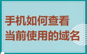手机如何查看当前使用的域名