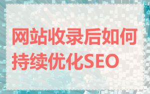 网站收录后如何持续优化SEO