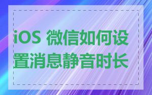 iOS 微信如何设置消息静音时长