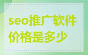 seo推广软件价格是多少