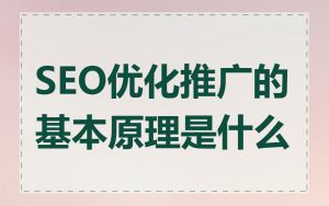 SEO优化推广的基本原理是什么
