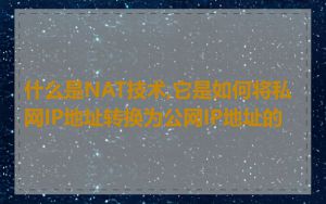 什么是NAT技术,它是如何将私网IP地址转换为公网IP地址的