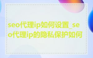 seo代理ip如何设置_seo代理ip的隐私保护如何