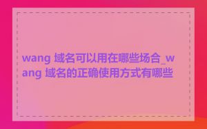 wang 域名可以用在哪些场合_wang 域名的正确使用方式有哪些