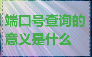 端口号查询的意义是什么