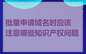 批量申请域名时应该注意哪些知识产权问题