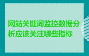 网站关键词监控数据分析应该关注哪些指标