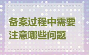 备案过程中需要注意哪些问题
