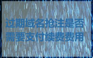过期域名抢注是否需要支付续费费用