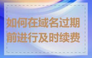 如何在域名过期前进行及时续费