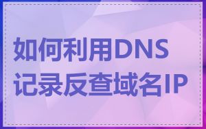 如何利用DNS记录反查域名IP