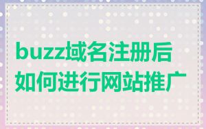 buzz域名注册后如何进行网站推广