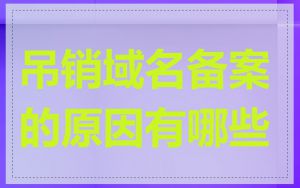 吊销域名备案的原因有哪些