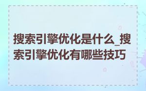 搜索引擎优化是什么_搜索引擎优化有哪些技巧