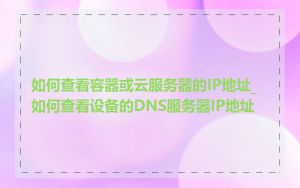 如何查看容器或云服务器的IP地址_如何查看设备的DNS服务器IP地址