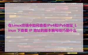 在Linux终端中如何查看IPv4和IPv6地址_Linux 下查看 IP 地址的脚本编写技巧是什么