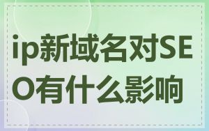ip新域名对SEO有什么影响