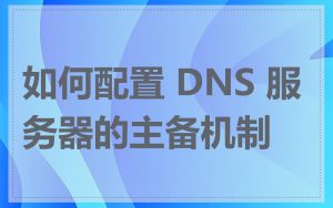 如何配置 DNS 服务器的主备机制