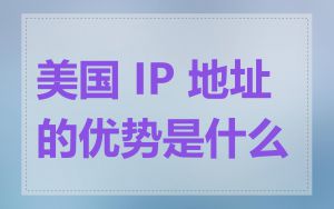 美国 IP 地址的优势是什么